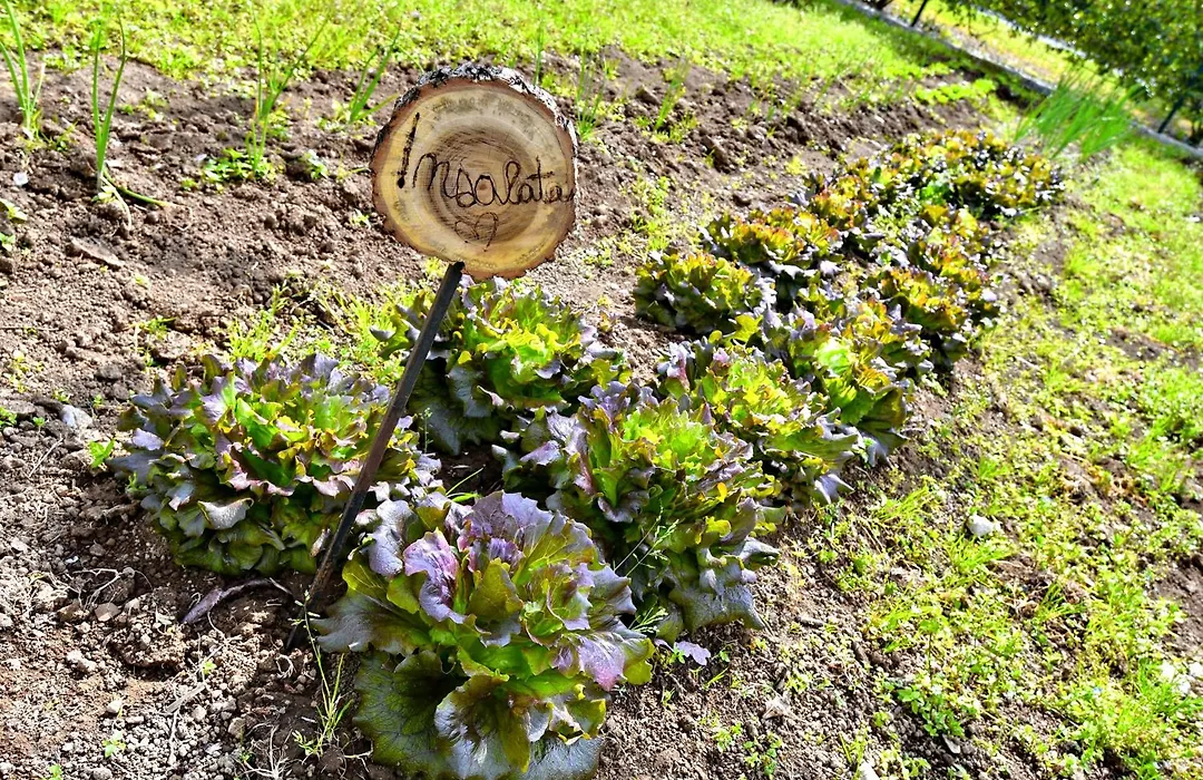Villa Soraya-1